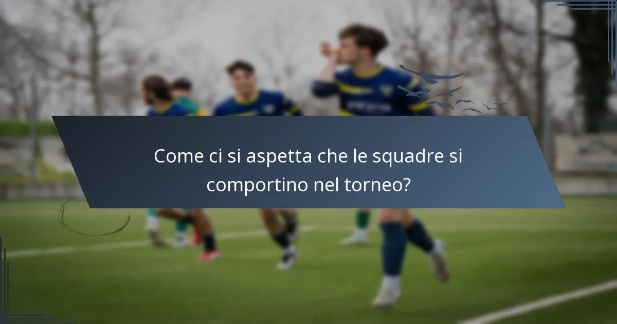 Come ci si aspetta che le squadre si comportino nel torneo?